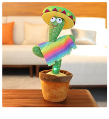 Cactus Dancing  with Sombrero !🌵